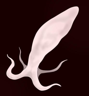 People Having Sex Sperm Creature on Male Passivo
