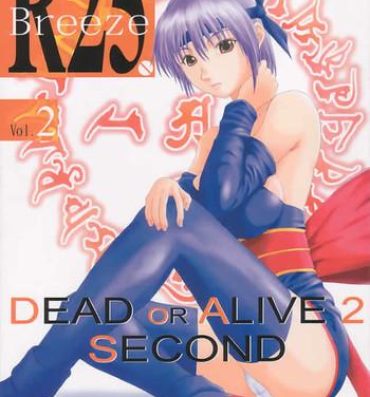 Big R25 Vol.2 DoA2 SECOND- Dead or alive hentai Magrinha