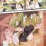 With Dragon Maid-tachi to no Seijijou | 與龍女僕們的性生活- Yu gi oh hentai Anal Licking